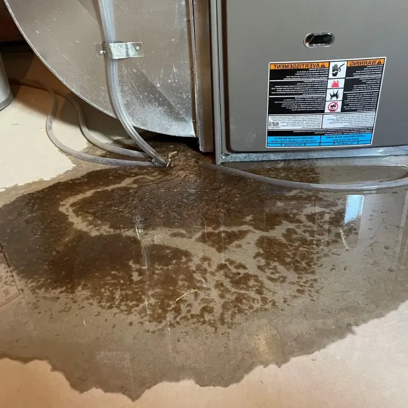 Pipe Burst and Leak Restoration in Brimfield, OH