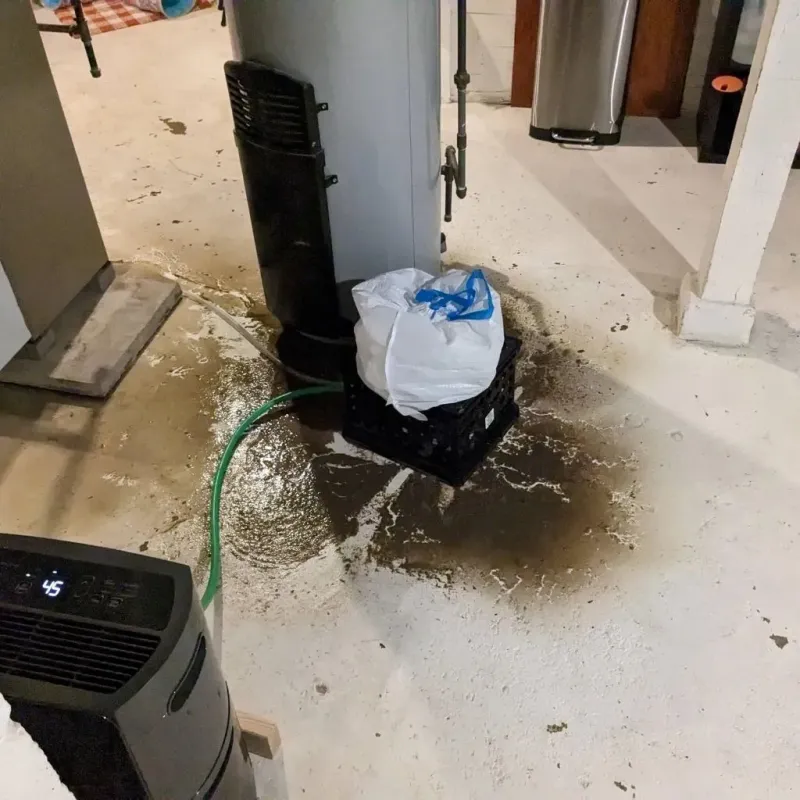 Sewage Backup Cleanup Service in Brimfield, OH